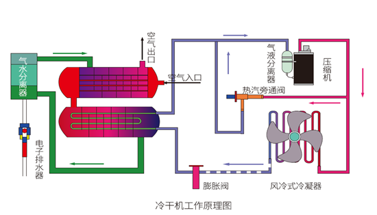 冷冻式干燥机 